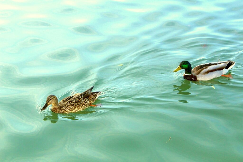 découvrez le green it, une approche écoresponsable des technologies de l'information visant à réduire l'impact environnemental grâce à des pratiques durables et innovantes.