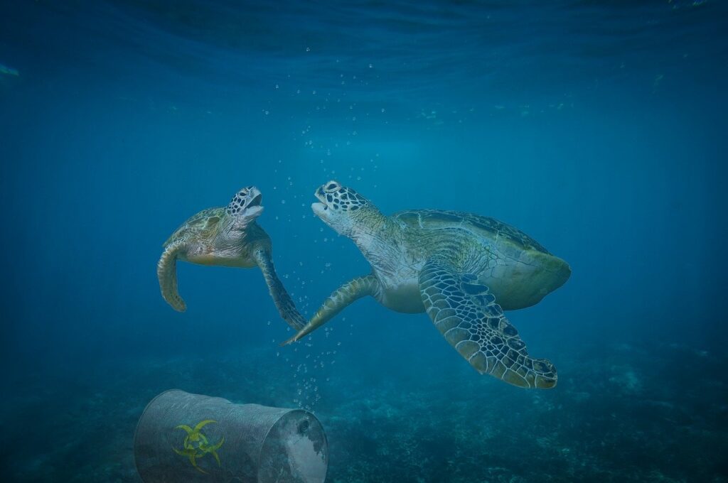 découvrez les enjeux environnementaux actuels, leurs impacts sur notre planète et les solutions pour un avenir durable.