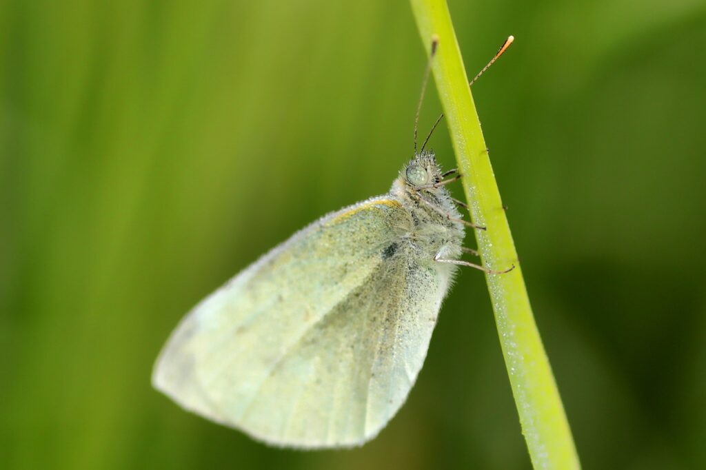 découvrez notre bilan environnemental détaillant nos engagements et actions pour la protection de la planète.