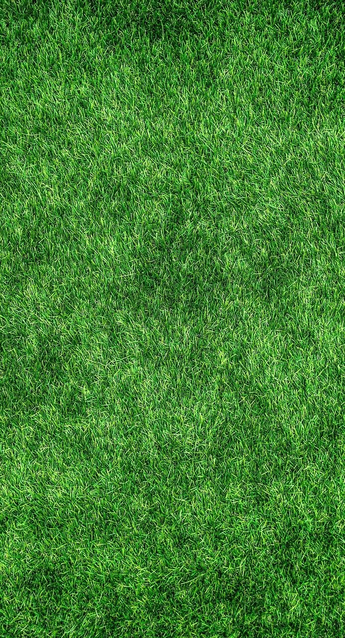 découvrez nos produits de nettoyage écologiques, efficaces et respectueux de l'environnement pour un foyer sain et durable.