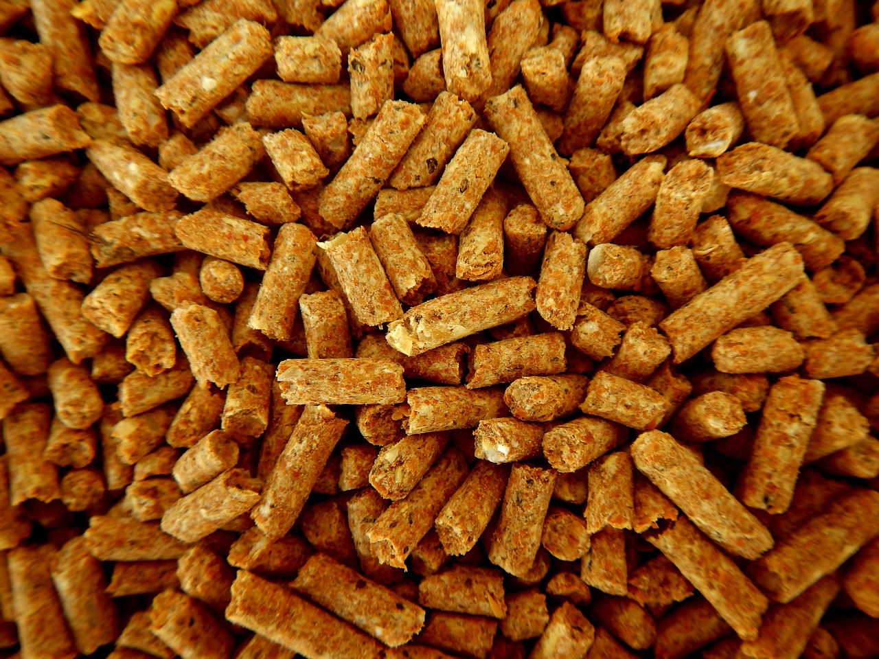 campagne d'achat en gros de granulés de bois : bénéficiez de tarifs avantageux pour un approvisionnement durable et économique en pellets de bois.