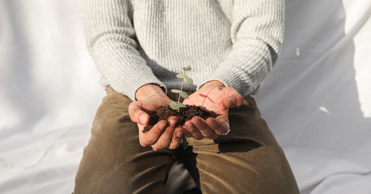 découvrez l'importance de la conservation des sols pour préserver notre environnement. apprenez des techniques efficaces et des pratiques durables pour protéger les terres agricoles, maintenir la biodiversité et lutter contre l'érosion. rejoignez le mouvement vers une agriculture responsable et durable.