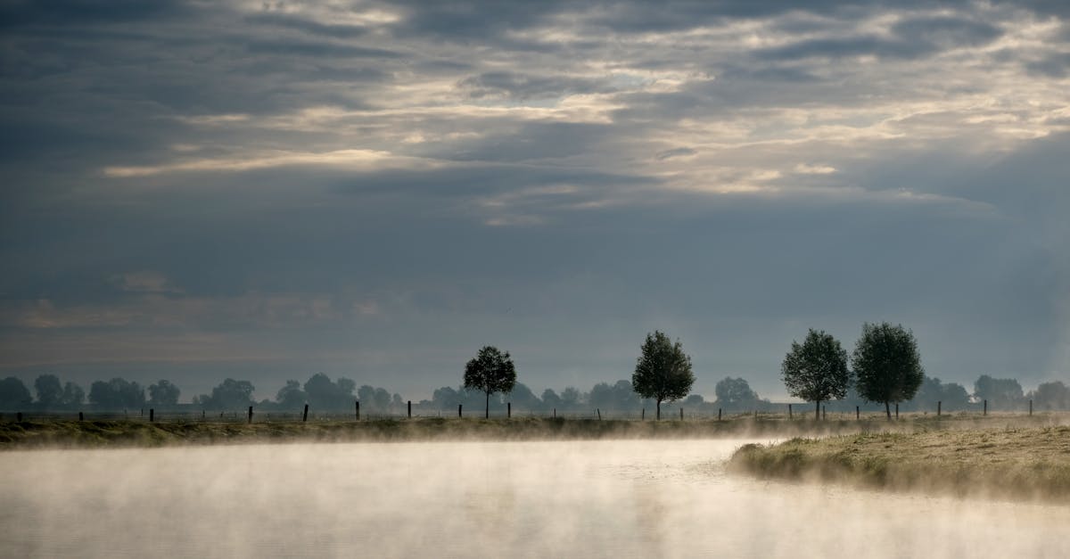 découvrez l'importance des zones humides, ces écosystèmes riches en biodiversité qui jouent un rôle crucial dans la régulation de l'eau, la protection des côtes et la lutte contre le changement climatique.