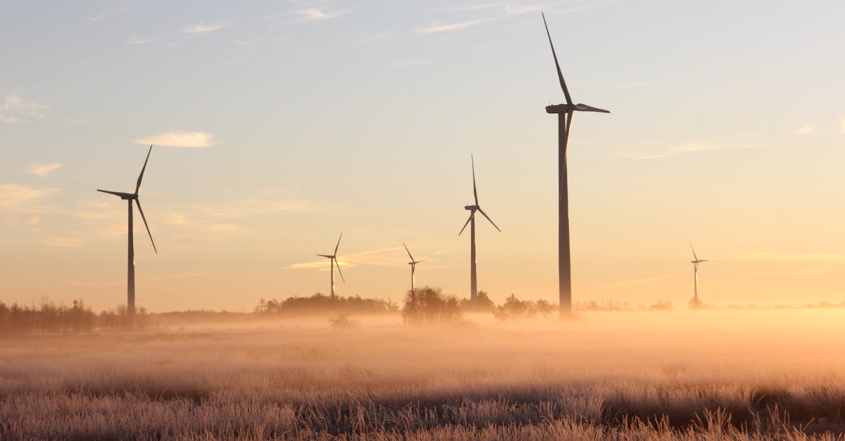 découvrez l'importance de la durabilité dans notre société moderne. explorez des pratiques écologiques et des solutions innovantes pour un avenir plus respectueux de l'environnement.