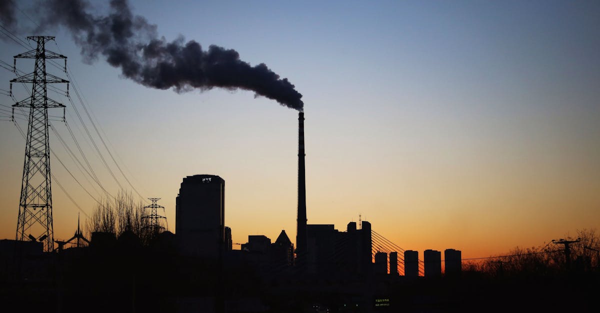 découvrez les enjeux du changement environnemental, ses causes et ses impacts sur notre planète. apprenez comment agir pour préserver notre environnement et favoriser un avenir durable.
