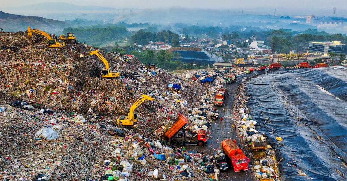 découvrez l'empreinte écologique, un indicateur clé de l'impact humain sur l'environnement. apprenez comment évaluer et réduire votre empreinte pour un avenir durable.