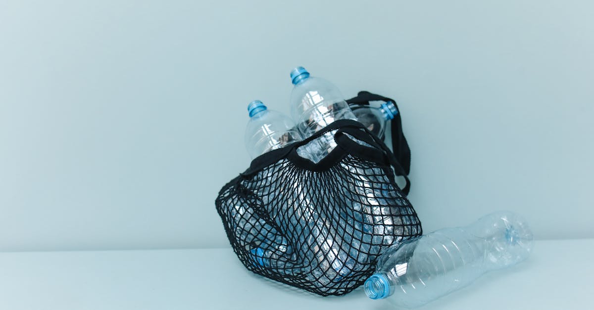 découvrez comment intégrer la responsabilité environnementale dans vos actions quotidiennes. apprenez des stratégies et des conseils pour réduire votre empreinte écologique et contribuer à un avenir durable.