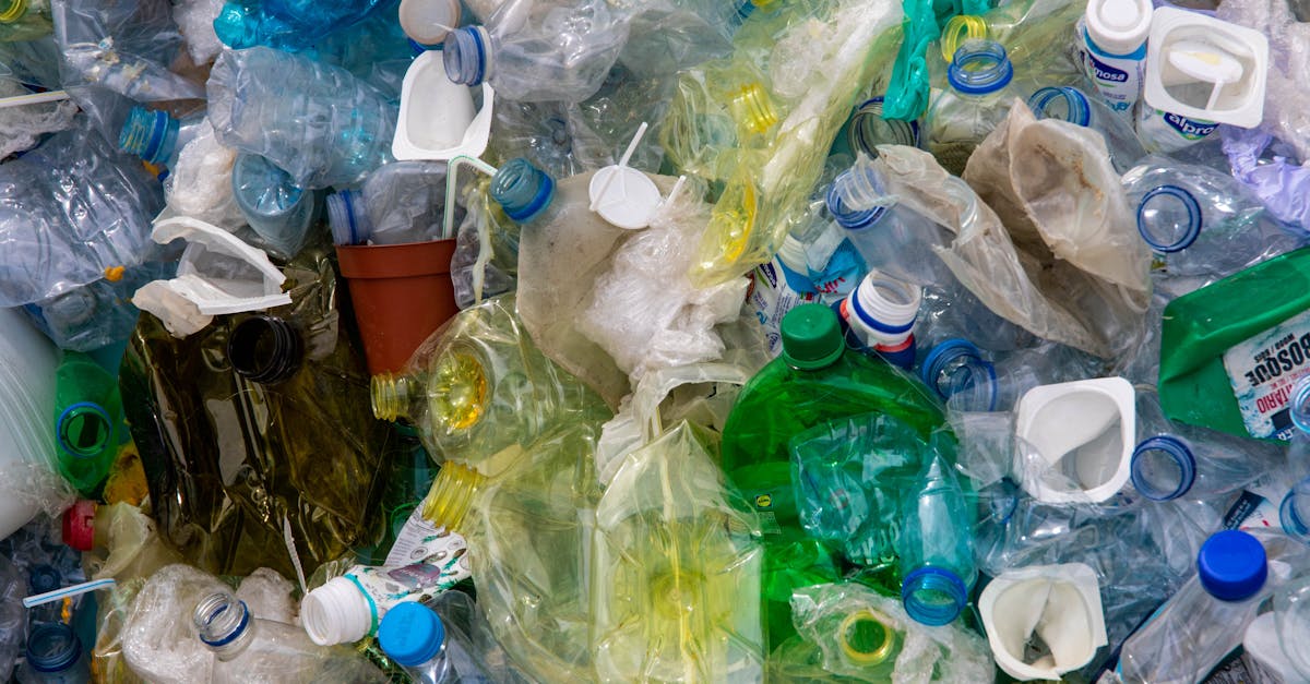 découvrez l'importance de la sensibilisation environnementale et apprenez comment chacun d'entre nous peut contribuer à la protection de notre planète. explorez des idées, des ressources et des actions concrètes pour promouvoir un avenir durable.