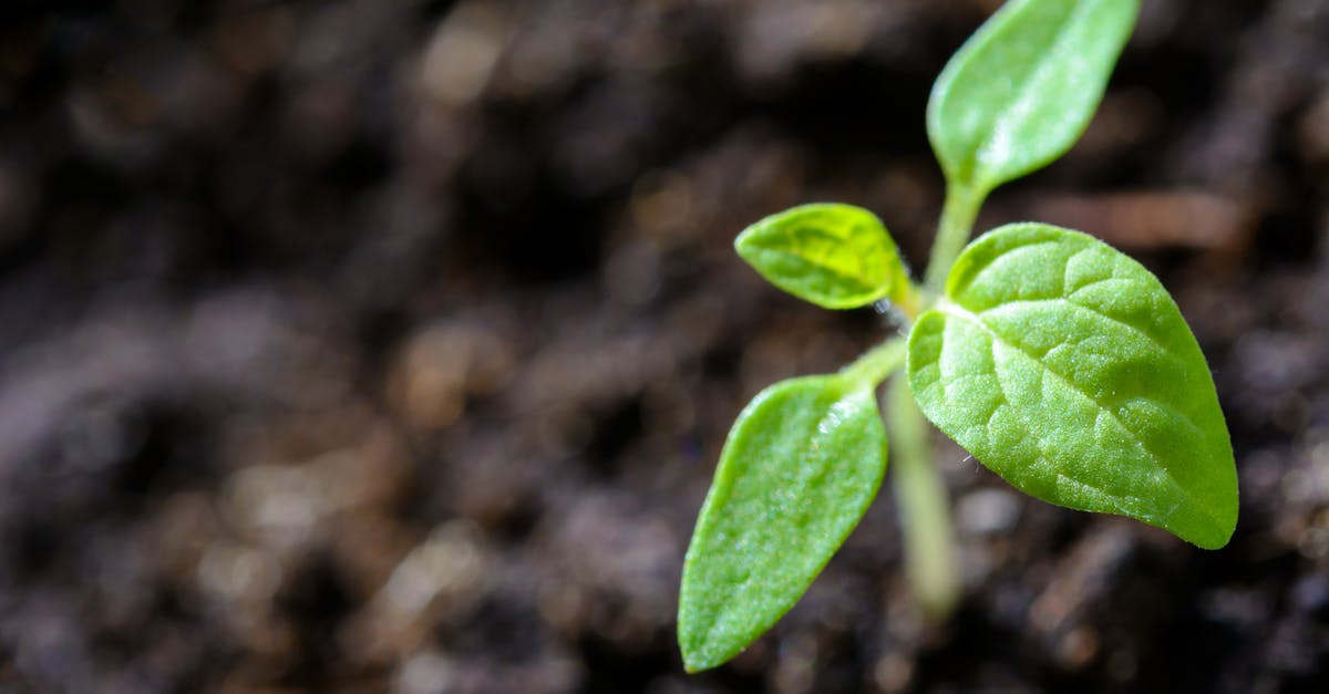 découvrez comment la durabilité peut transformer notre façon de vivre et de consommer. explorez des solutions innovantes et des pratiques responsables pour un avenir plus respectueux de l'environnement.