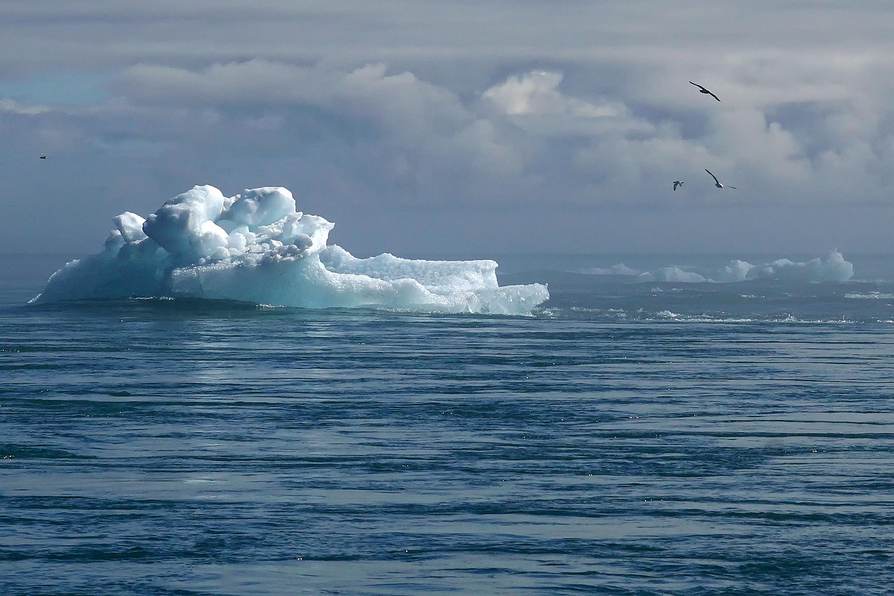 découvrez les initiatives et solutions pour lutter contre le changement climatique et promouvoir un avenir durable grâce à l'action climatique.