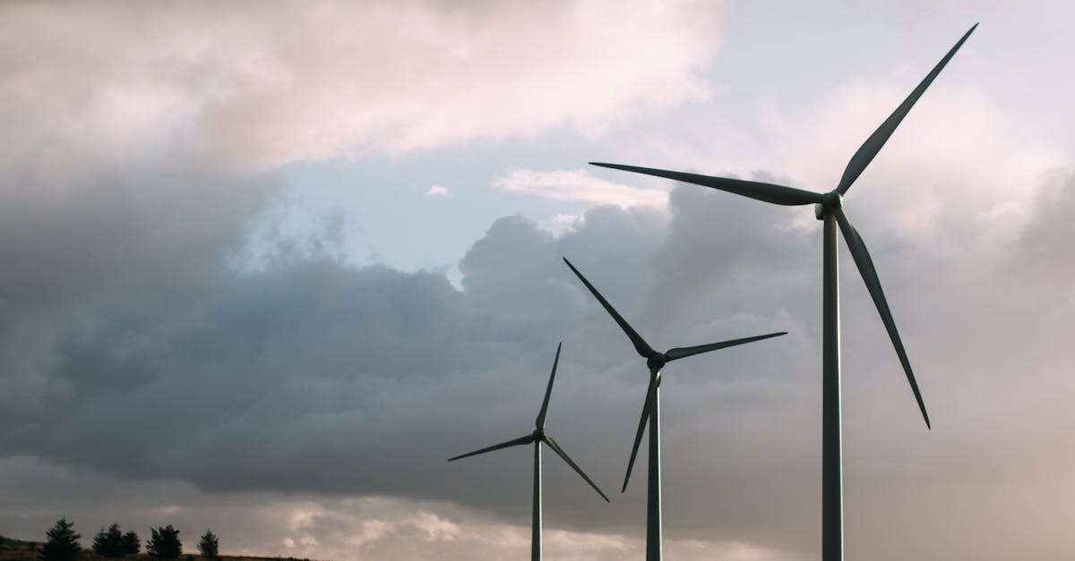 découvrez l'énergie éolienne, une source d'énergie renouvelable propre et durable. apprenez comment les éoliennes convertissent la puissance du vent en électricité, contribuant à la réduction des émissions de carbone et à la lutte contre le changement climatique. explorez les avantages et les défis de cette technologie innovante.