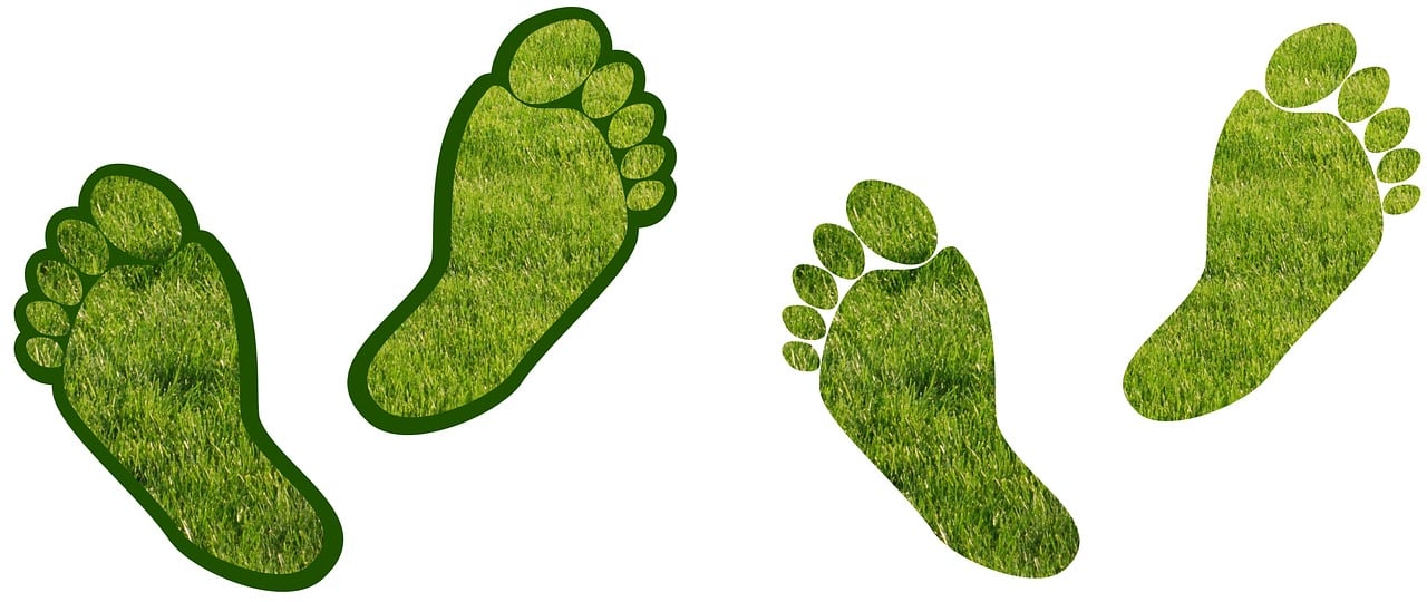 découvrez des stratégies efficaces pour réduire votre empreinte carbone et contribuer à la protection de l'environnement grâce à des actions durables et responsables.