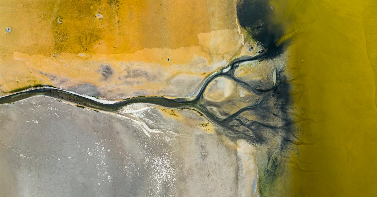 découvrez comment les communications environnementales jouent un rôle crucial dans la sensibilisation aux enjeux écologiques. explorez des stratégies efficaces pour informer et engager le public sur les problèmes environnementaux et promouvoir des actions durables.