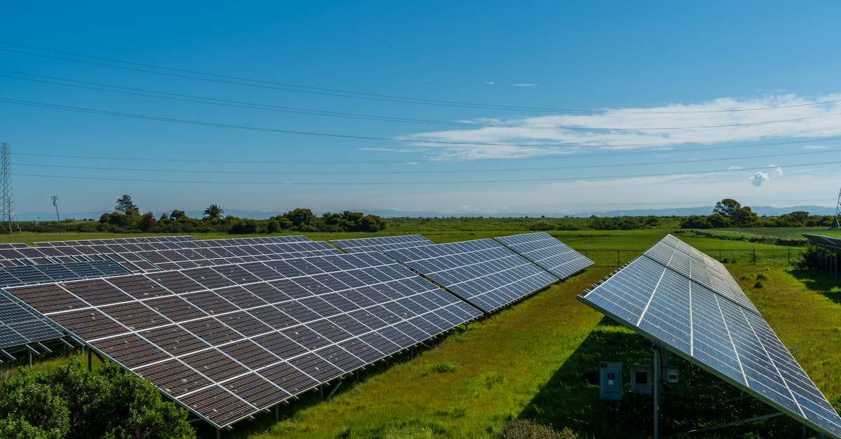 découvrez les avantages des fermes solaires, une solution écologique pour produire de l'énergie renouvelable. apprenez comment ces installations innovantes transforment le paysage énergétique et contribuent à la lutte contre le changement climatique.
