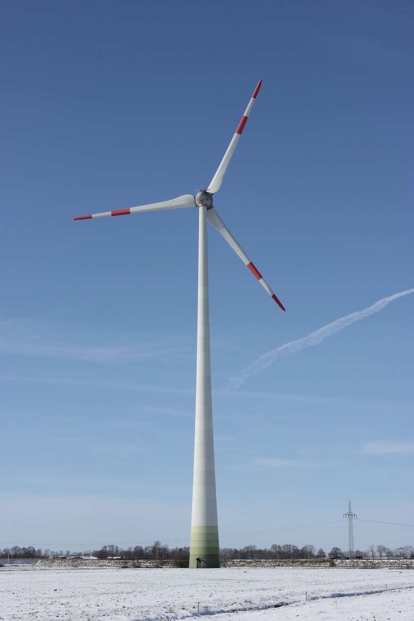 découvrez l'importance de la durabilité et comment adopter des pratiques respectueuses de l'environnement. apprenez comment des choix éclairés peuvent contribuer à un avenir plus vert et à la préservation de notre planète pour les générations futures.