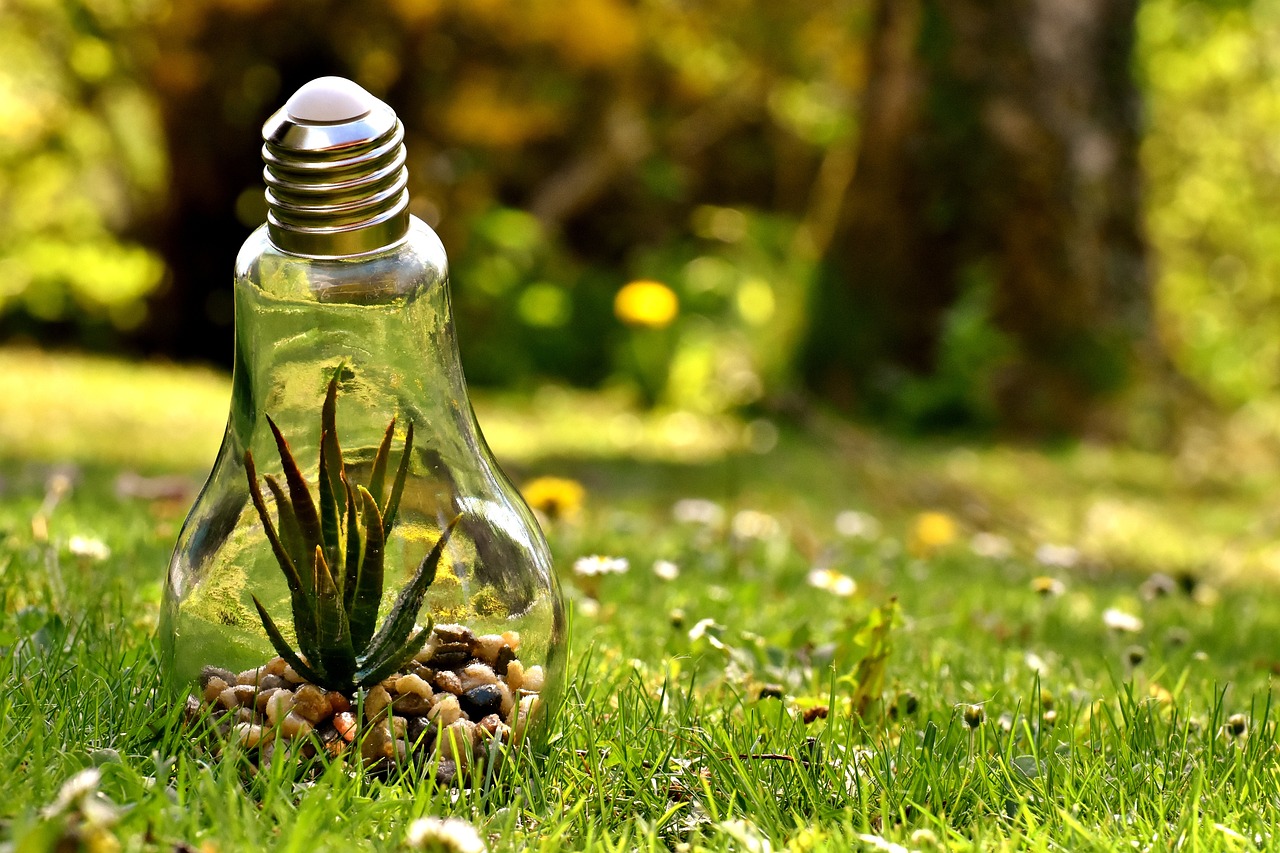 découvrez l'importance de la protection de l'environnement et les actions à entreprendre pour préserver notre planète. engagez-vous pour un avenir durable avec des conseils pratiques et des initiatives éco-responsables.
