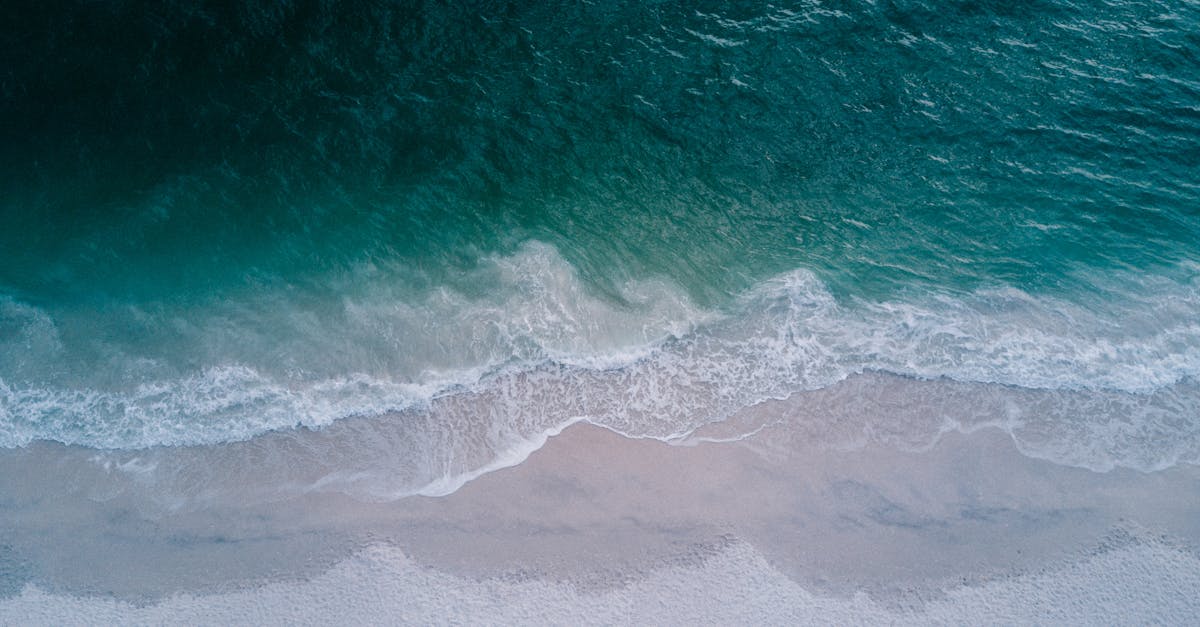 découvrez comment réussir votre transition, qu'elle soit personnelle, professionnelle ou écologique. explorez des conseils pratiques, des stratégies efficaces et des témoignages inspirants pour naviguer avec succès dans les changements de votre vie.
