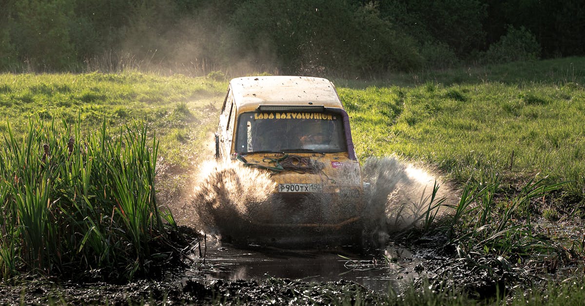 découvrez green synergy, une approche innovante alliant durabilité et efficacité pour un avenir plus vert. rejoignez notre mouvement vers une harmonisation écologique et sociale, où chaque action compte pour préserver notre planète.