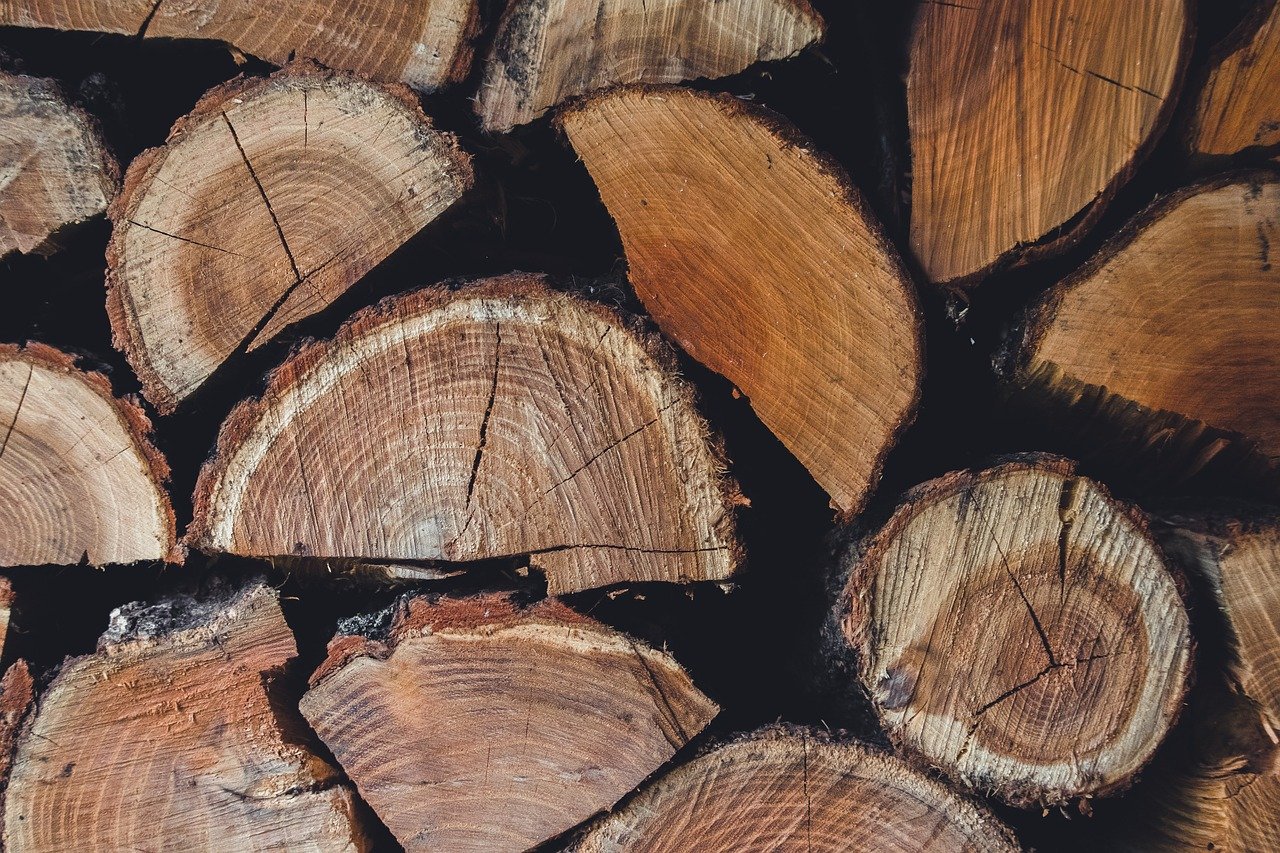 découvrez les causes, conséquences et solutions à la déforestation, un défi majeur pour l'environnement et la biodiversité.