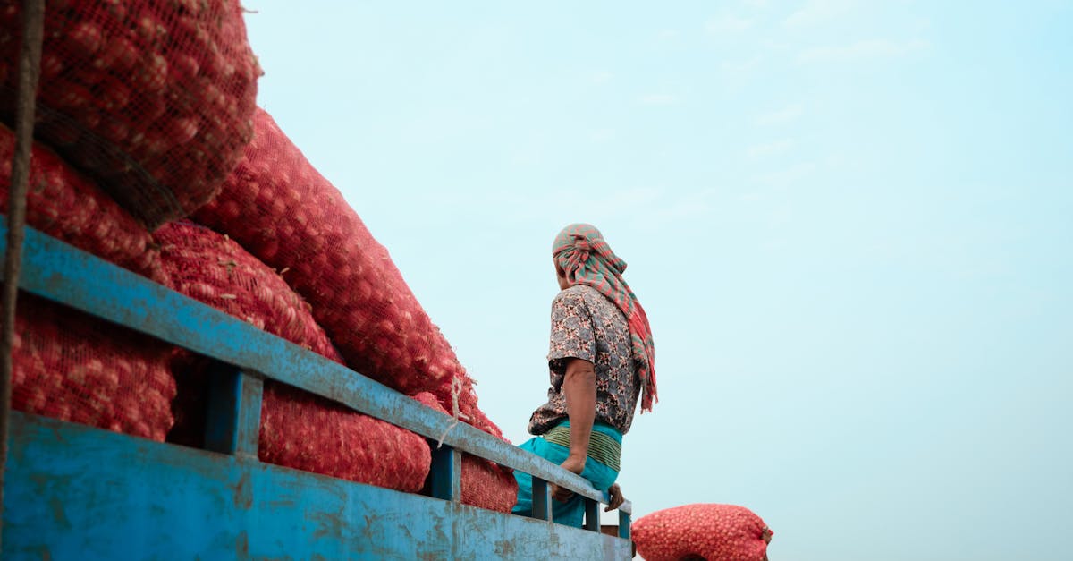 découvrez l'économie biologique, un modèle innovant qui valorise les ressources naturelles et favorise la durabilité. apprenez comment cette approche intégrée transforme les industries et promeut un avenir respectueux de l'environnement.