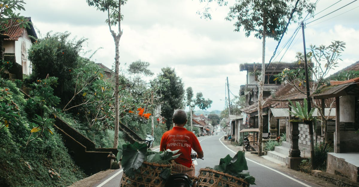 découvrez les solutions de transport durable qui transforment nos villes et améliorent notre qualité de vie. explorez les options écologiques, les innovations en mobilité et les avantages d'un déplacement responsable pour un avenir plus vert.