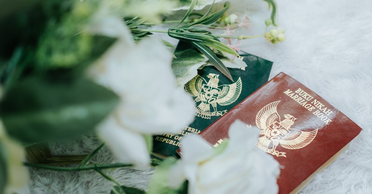 découvrez comment obtenir une certification verte et valoriser votre engagement en faveur de l'environnement. apprenez les critères, les avantages et les étapes à suivre pour embellir votre image de marque tout en contribuant au développement durable.