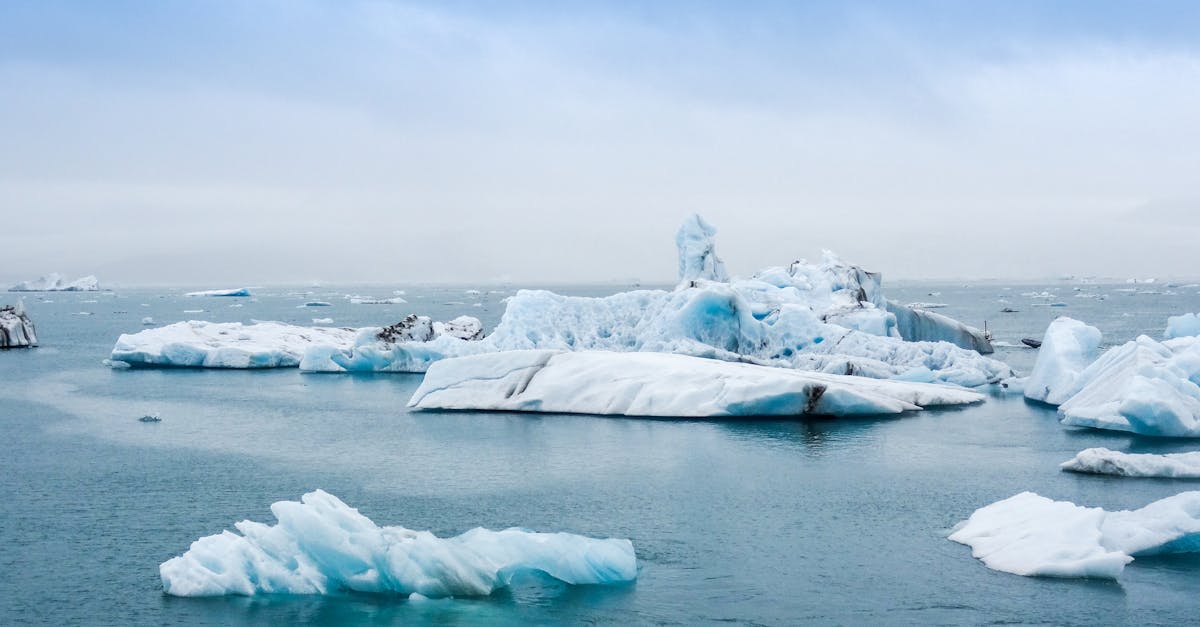découvrez les enjeux du changement climatique, ses impacts sur notre planète et les solutions pour un avenir durable. engagez-vous dans la lutte contre le réchauffement climatique et apprenez comment chaque geste compte pour préserver notre environnement.