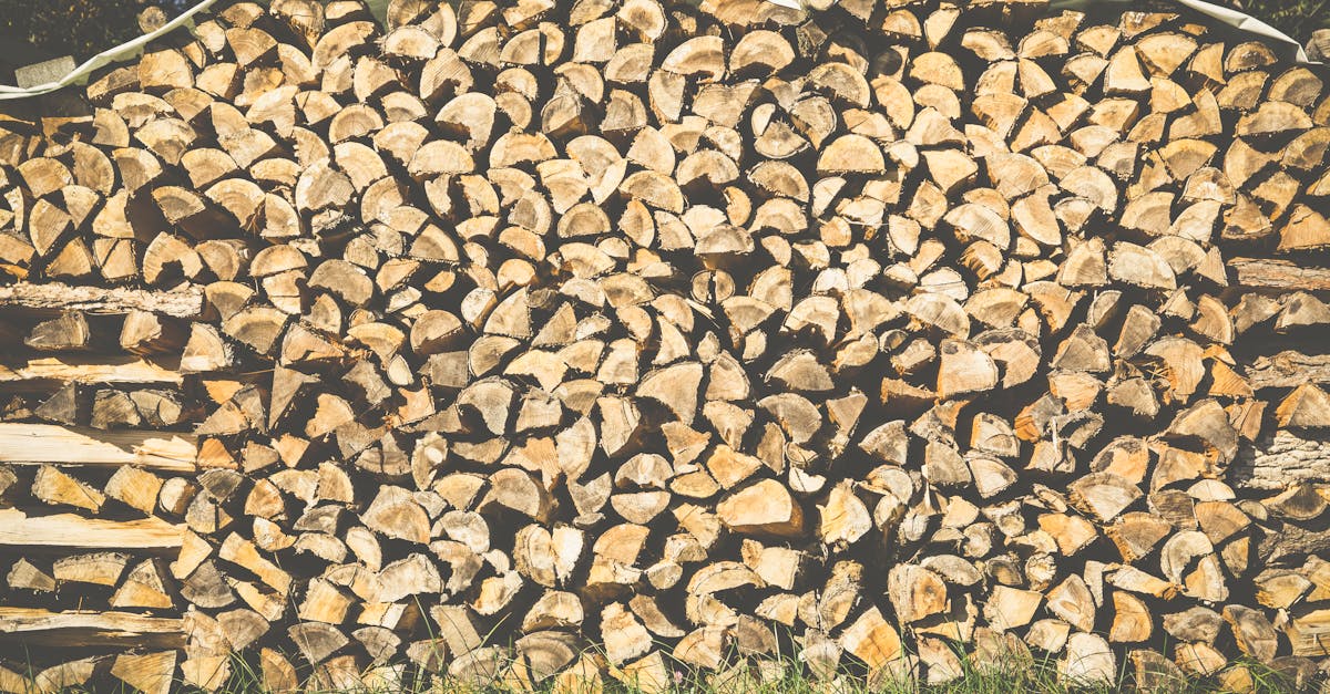 découvrez des solutions de chauffage écologiques qui allient confort et respect de l'environnement. optez pour des systèmes de chauffage durables et économes en énergie pour un foyer plus vert.