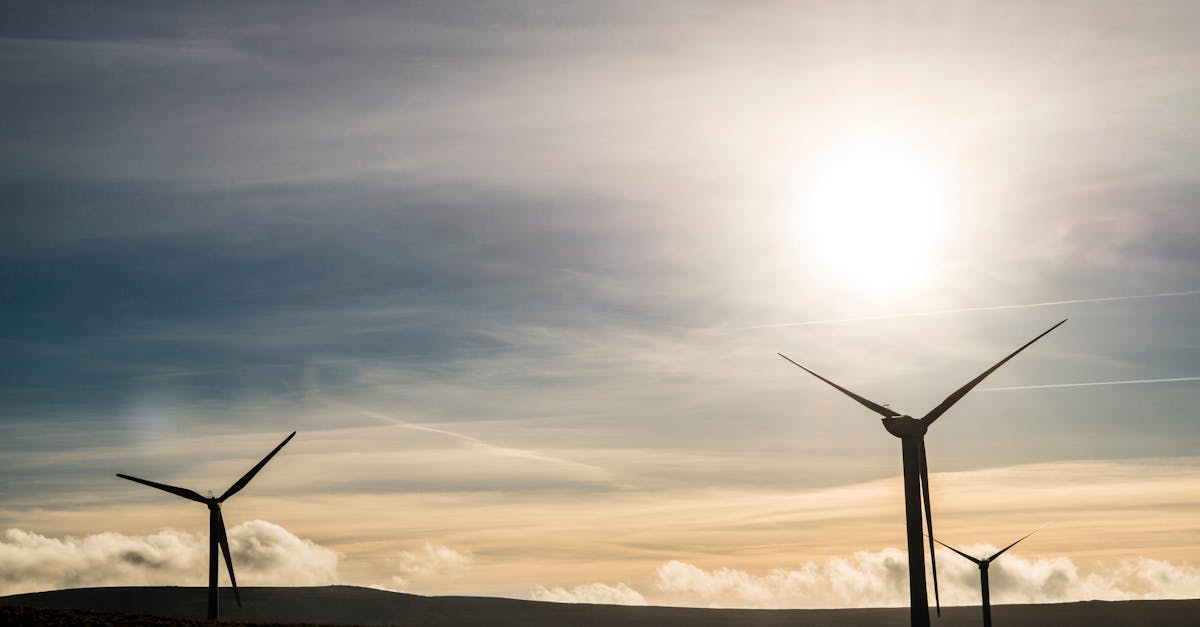 découvrez comment le développement durable peut transformer notre avenir, en intégrant des pratiques respectueuses de l'environnement et des solutions éthiques pour un mode de vie équilibré et responsable.