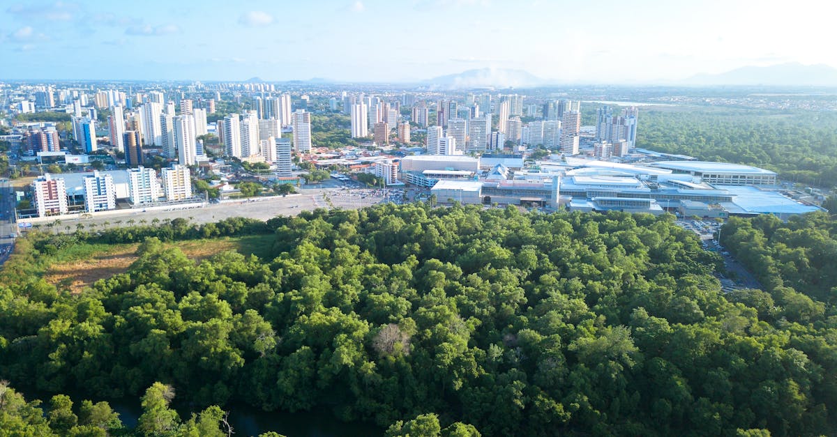 découvrez les principes de la planification urbaine durable, une approche innovante visant à créer des villes respectueuses de l'environnement, favorisant la qualité de vie et l'accessibilité tout en préservant les ressources naturelles pour les générations futures.