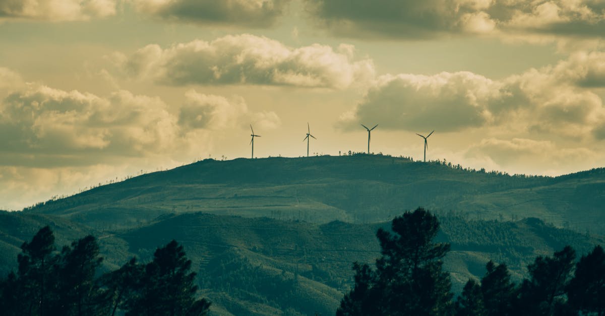 découvrez comment adopter une consommation durable pour préserver notre planète. apprenez des astuces pratiques et des conseils pour réduire votre impact environnemental tout en maintenant un style de vie éthique.