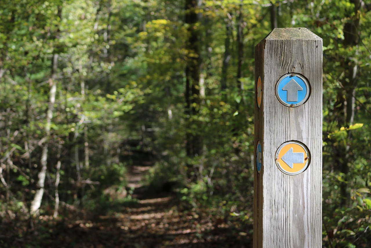découvrez l'univers du trail, une aventure en pleine nature alliant sport, défi et évasion. explorez les sentiers majestueux, améliorez votre endurance et rejoignez une communauté passionnée. que vous soyez débutant ou expert, le trail vous offre des expériences inoubliables au cœur des paysages les plus spectaculaires.