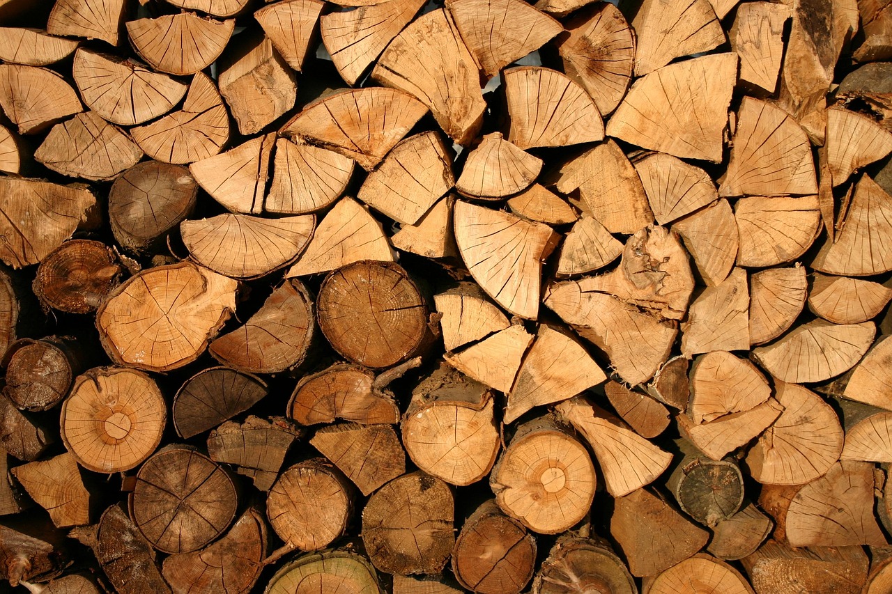 découvrez ce qu'est la déforestation, ses causes, ses conséquences environnementales et les solutions pour préserver les forêts dans le monde entier.