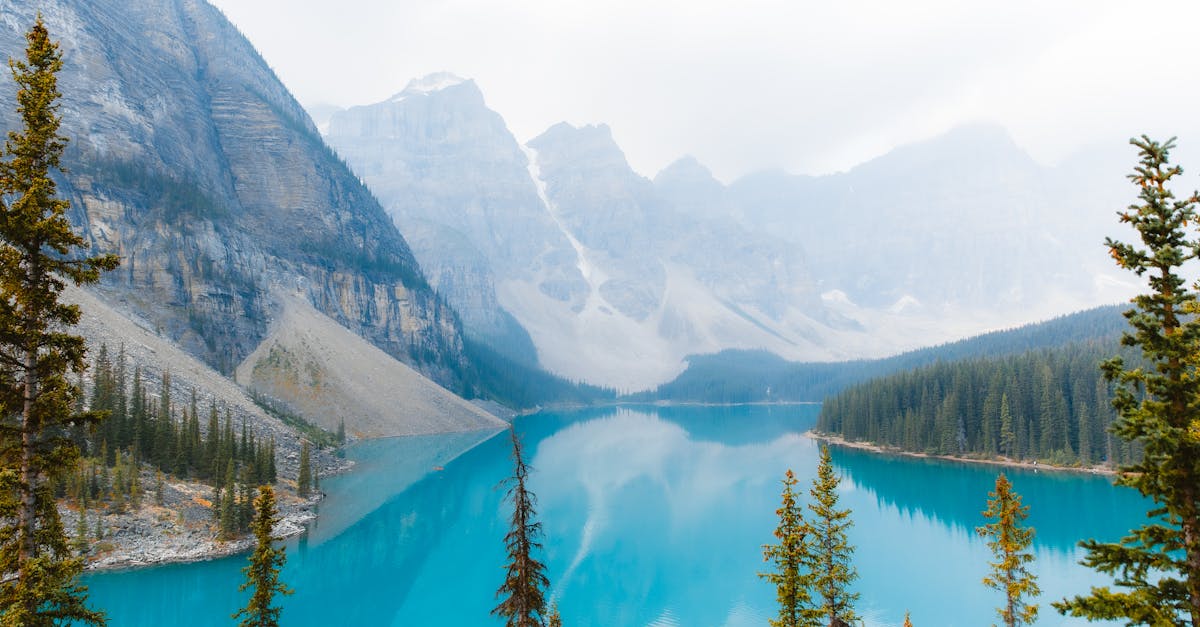 découvrez les enjeux et stratégies de la politique forestière, essentielle pour la gestion durable des ressources forestières, la conservation de la biodiversité et la lutte contre le changement climatique.