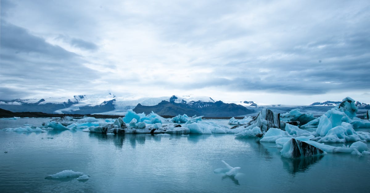 découvrez les enjeux du changement climatique, ses impacts sur notre planète et les solutions pour un avenir durable. engagez-vous dès aujourd'hui pour un environnement préservé.