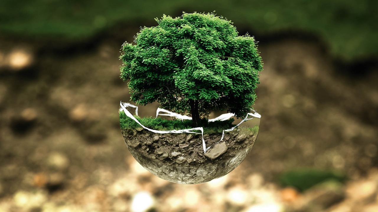 découvrez l'impact environnemental de nos activités, les causes principales de la pollution et des solutions pour préserver la planète. adoptez des gestes responsables pour un avenir durable.