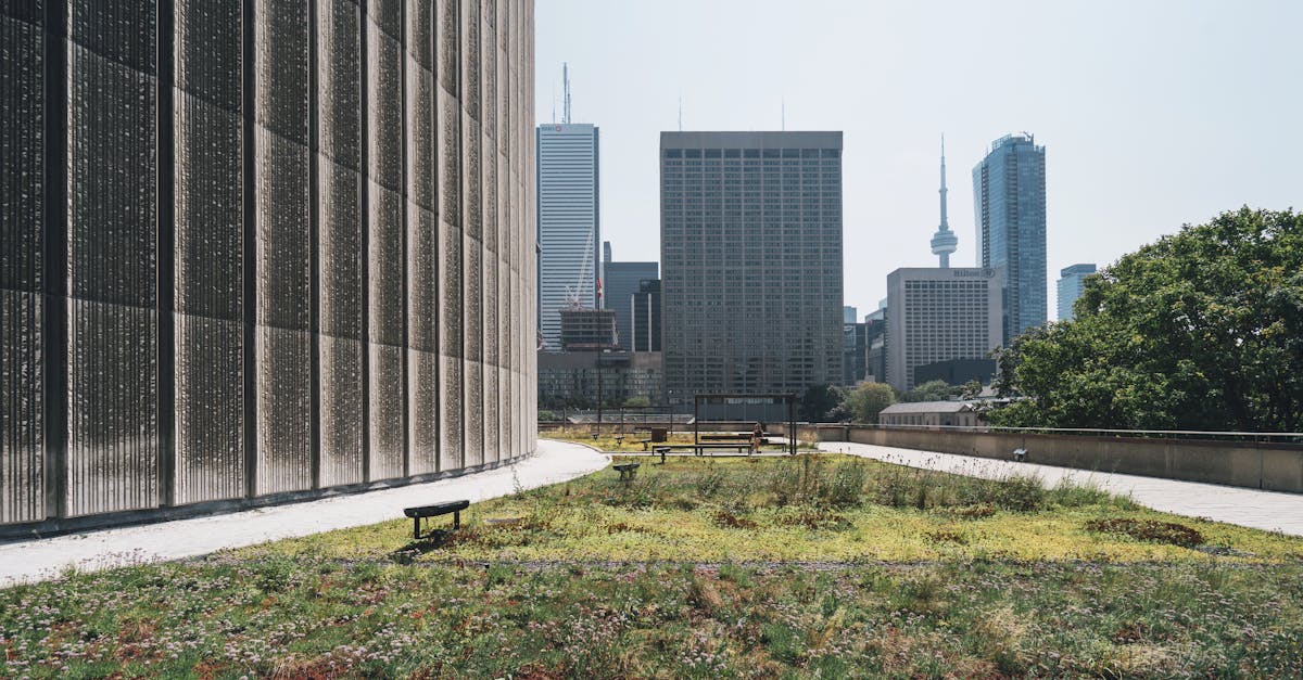 découvrez le design durable, une approche innovante qui allie esthétique, fonctionnalité et respect de l'environnement. apprenez comment intégrer des pratiques écoresponsables dans vos projets de construction et de décoration.