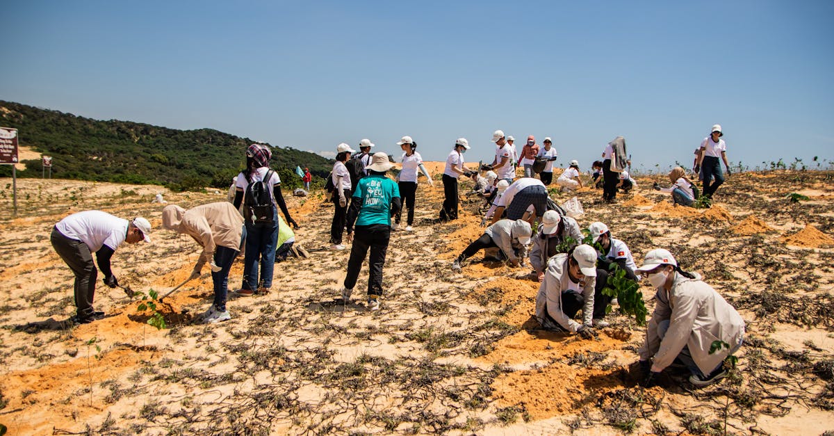 découvrez l'importance de la restauration écologique pour préserver notre environnement. apprenez comment des initiatives durables peuvent revigorer les écosystèmes naturels, favoriser la biodiversité et combattre les effets du changement climatique. engagez-vous dans des projets concrets pour restaurer notre planète.