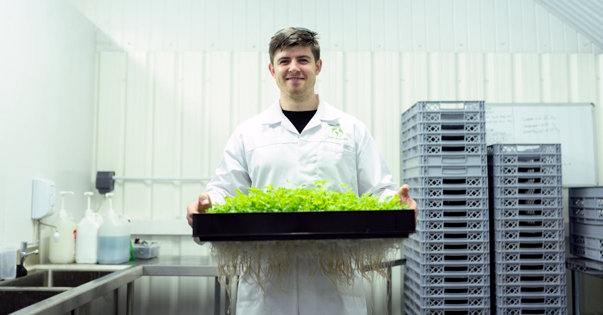 découvrez l'agriculture durable, une approche respectueuse de l'environnement qui préserve les ressources naturelles tout en garantissant une production alimentaire de qualité. explorez des pratiques innovantes et des solutions éco-responsables pour un avenir agricole durable.