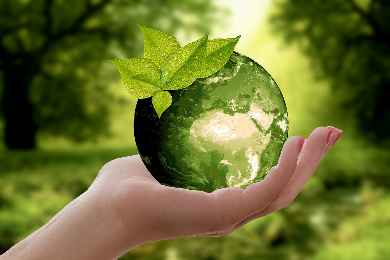 découvrez l'importance de la durabilité dans notre monde moderne. explorez les pratiques, les innovations et les stratégies pour un avenir plus respectueux de l'environnement et socialement responsable.