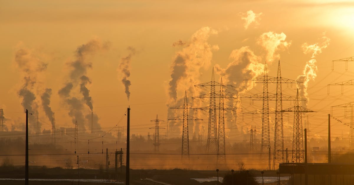 découvrez comment le changement climatique impacte notre planète et quelles actions nous pouvons entreprendre pour préserver notre environnement. explorez les conséquences, les solutions durables et l'importance de l'engagement collectif face à cette crise mondiale.