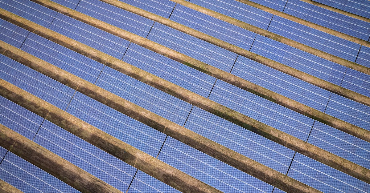 découvrez les initiatives et stratégies visant à promouvoir un développement durable, qui équilibre croissance économique, équité sociale et protection de l'environnement. engagée pour un avenir responsable, cette approche intègre des solutions innovantes pour préserver nos ressources naturelles et améliorer la qualité de vie pour les générations futures.