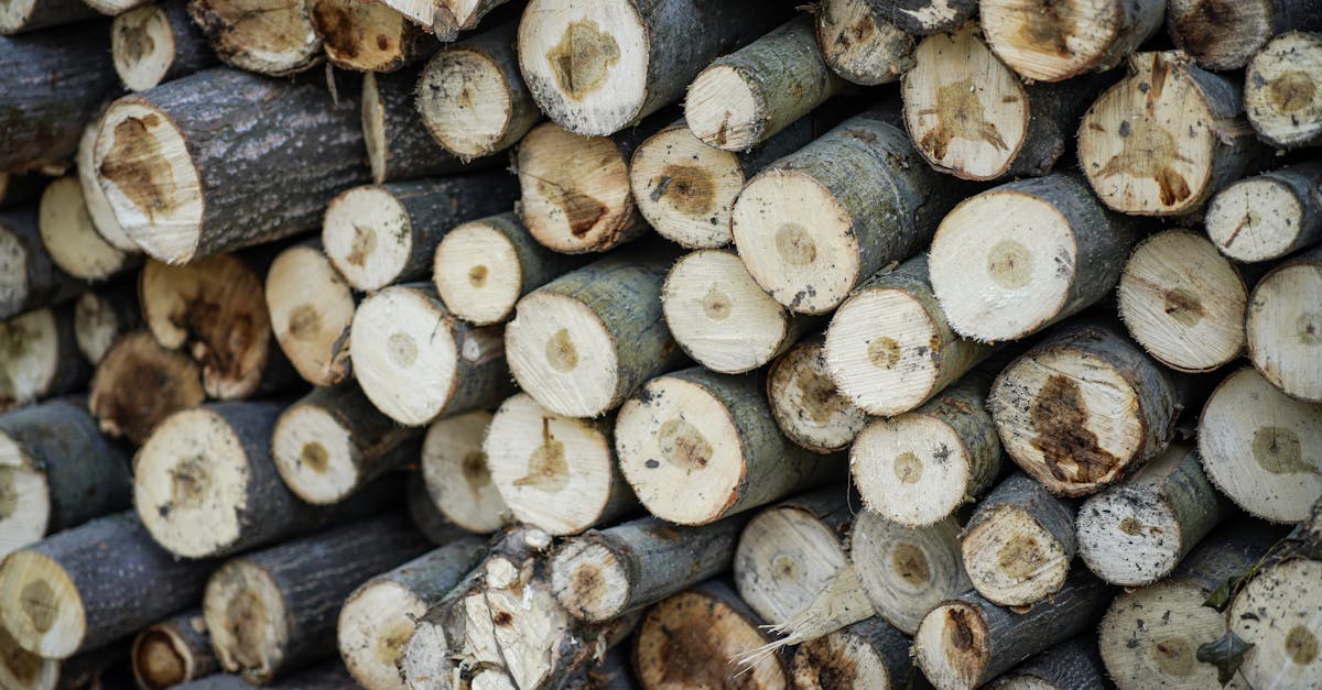 découvrez les ressources non renouvelables, leur impact sur l'environnement et l'économie, ainsi que les enjeux de leur exploitation. apprenez pourquoi il est crucial de trouver des alternatives durables pour préserver notre planète.