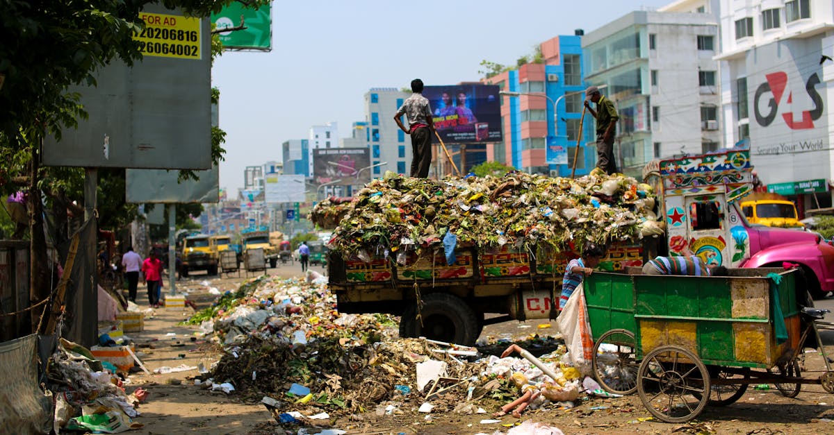 découvrez l'écologie urbaine, une discipline essentielle qui explore l'interaction entre la nature et les environnements urbains. apprenez comment favoriser la biodiversité, améliorer la qualité de vie en ville et développer des pratiques durables pour des villes plus vertes et résilientes.