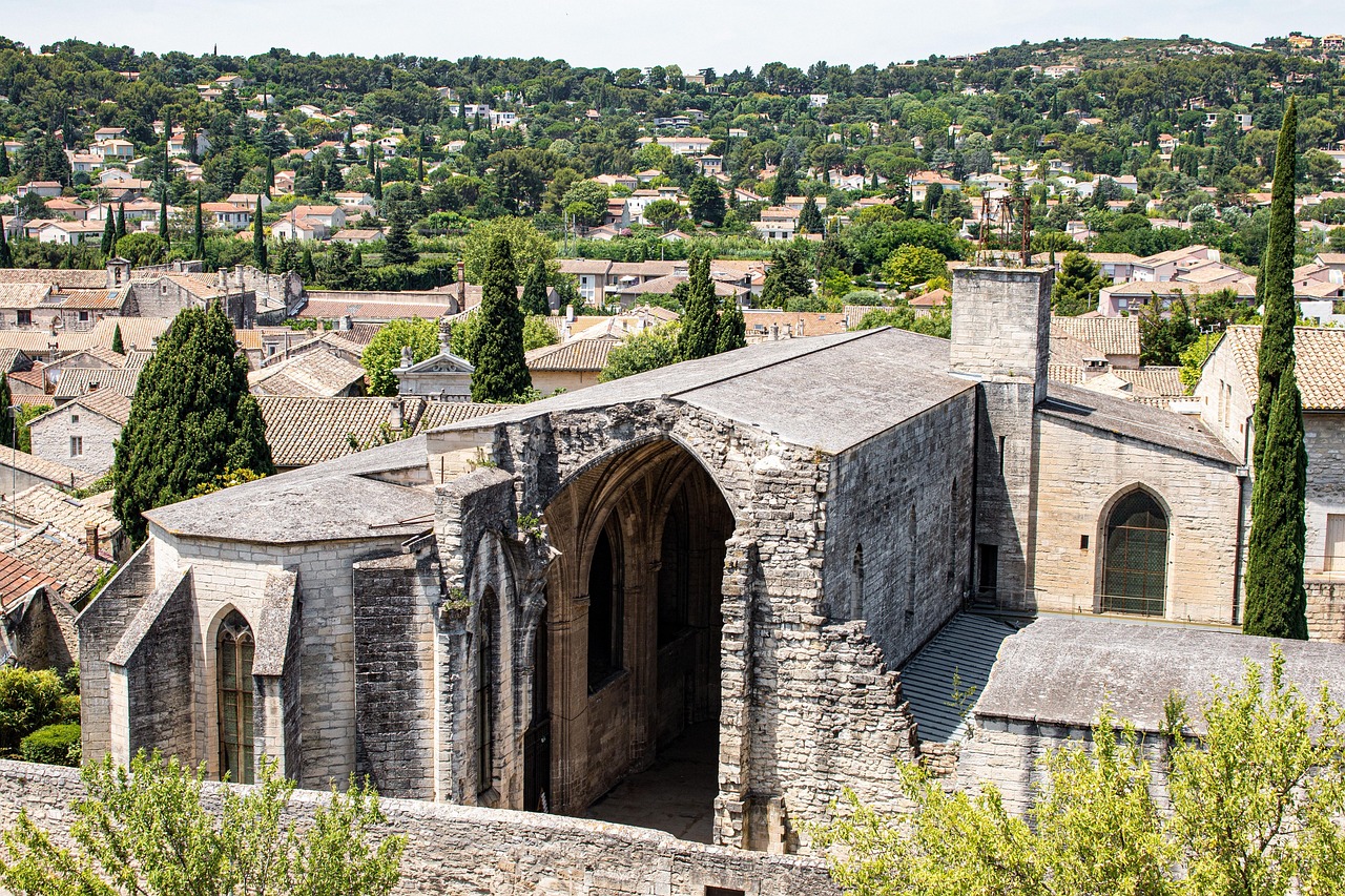 découvrez avignon, joyau historique du sud de la france, célèbre pour son palais des papes, son festival de théâtre et ses charmantes rues médiévales. explorez la richesse culturelle, les délices gastronomiques et les paysages enchanteurs de cette ville captivante.