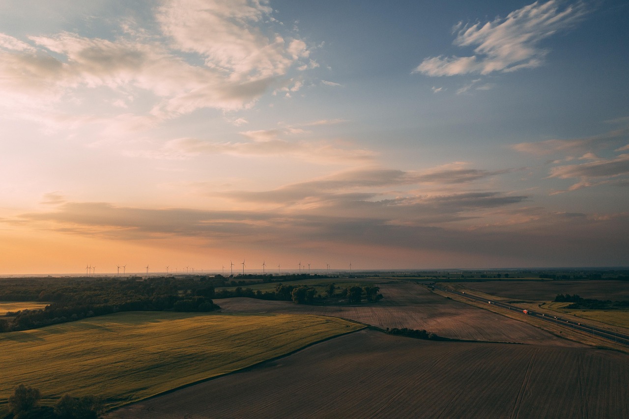 découvrez tout sur la durabilité : ses principes, ses enjeux et des conseils pratiques pour adopter un mode de vie respectueux de l'environnement et contribuer à un avenir plus responsable.