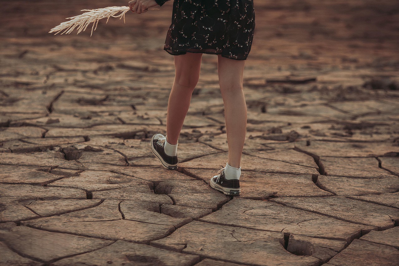 découvrez tout ce qu'il faut savoir sur l'empreinte carbone, son impact sur l'environnement et les stratégies pour la réduire. informez-vous sur les actions à entreprendre pour vivre de manière plus durable et contribuer à la lutte contre le changement climatique.
