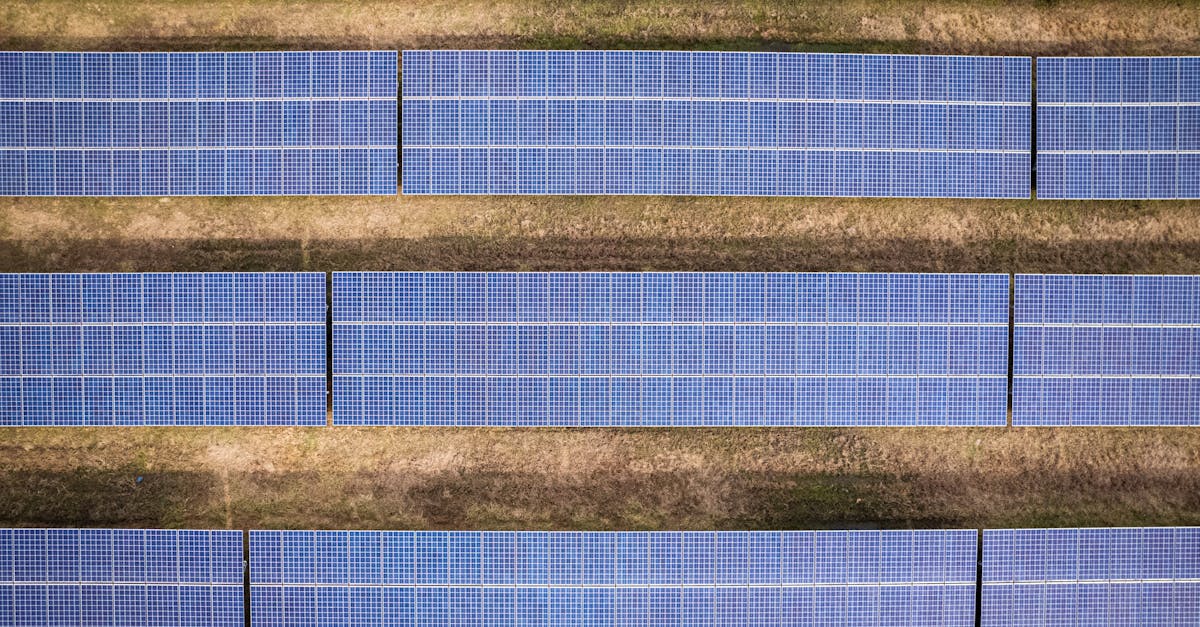 découvrez les enjeux et les pratiques du développement durable, une approche essentielle pour préserver notre planète tout en répondant aux besoins des générations actuelles et futures. apprenez comment intégrer des solutions écologiques et responsables dans votre vie quotidienne.