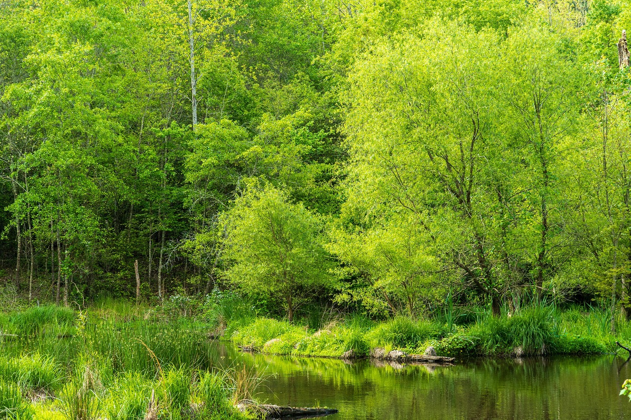 découvrez des astuces et conseils pratiques pour économiser l'eau au quotidien. préservez cette ressource précieuse grâce à nos solutions faciles à mettre en place pour une consommation responsable.
