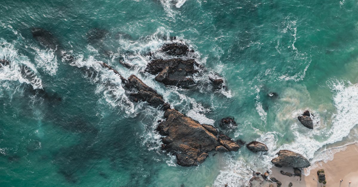 découvrez les enjeux de l'érosion côtière, ses causes et ses effets sur l'environnement, ainsi que les solutions possibles pour protéger nos côtes et sauvegarder la biodiversité marine.